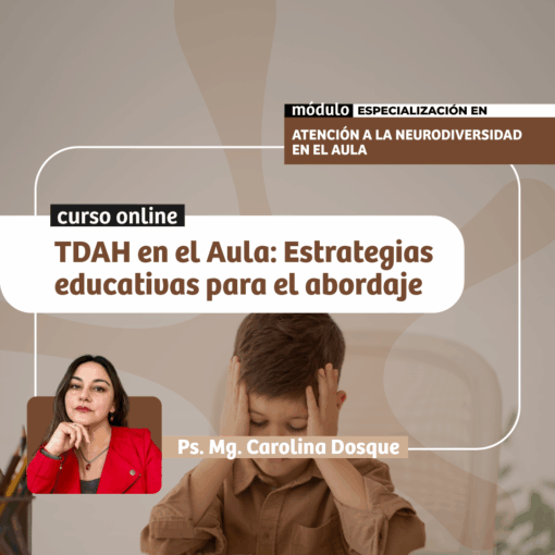 TDAH en el Aula: Estrategias educativas para el abordaje