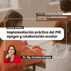 Implementación práctica del PIE: apoyos y colaboración escolar